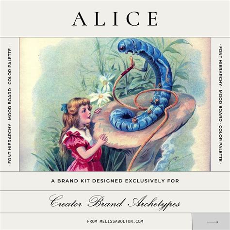 Alice in wonderlwnd witch